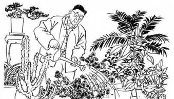 養花老舍的樂(lè )趣在于啥