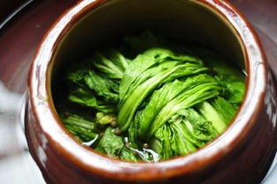 酸菜壇子養花