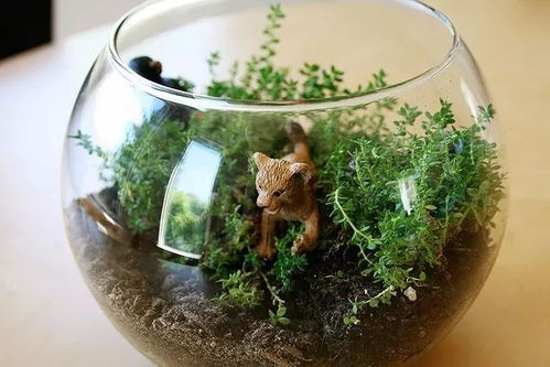 小瓶子養花