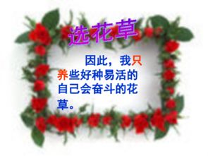 人教版養花課件