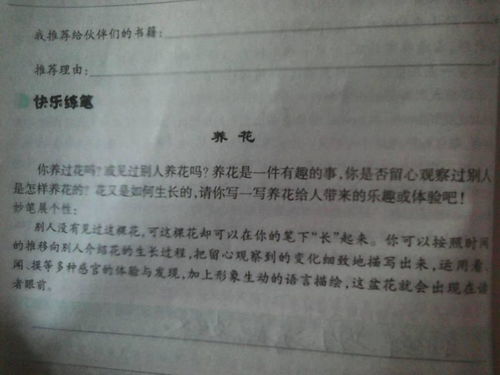 我味養花四百字作文