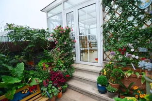 頂樓養(yǎng)花設(shè)計圖