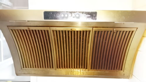養花大全抽油煙機廢油