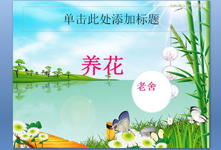 養花老舍ppt免費