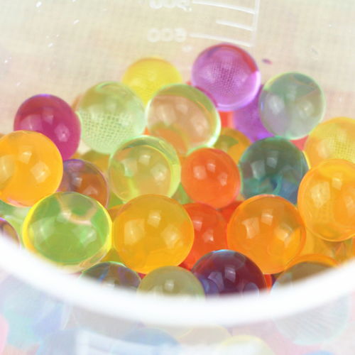 生長(zhǎng)豆能不能養(yǎng)花