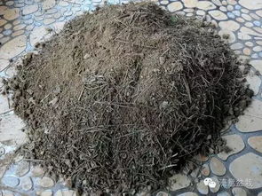 養花專(zhuān)用名詞