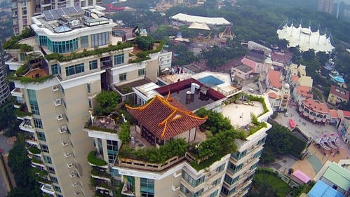 深圳高層樓房樓頂養花違法嗎
