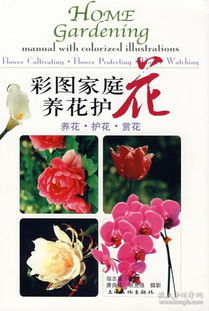 單位養花護花總結