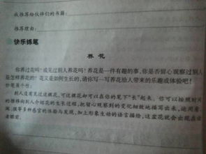 養花記作文300字