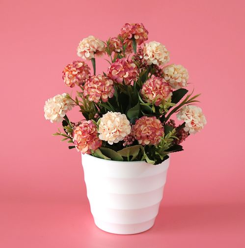 養花草買(mǎi)放大鏡什么樣的好