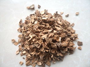 花生殼核桃殼養(yǎng)花