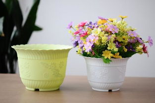 家庭養花大全什么樣花好