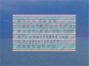 為什么養花需要搭帳篷