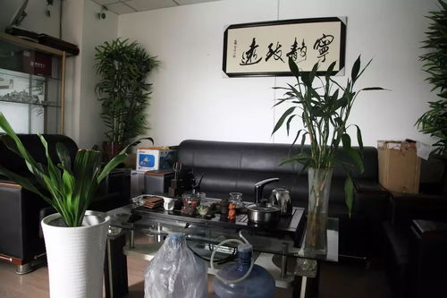 辦公室養花幾盆好