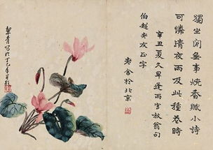 養花老舍文章賞析