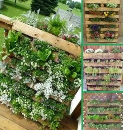 特色養花容器