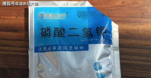 復合肥養花使用方法