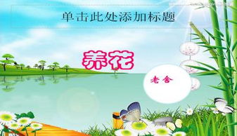 簡(jiǎn)要概括養花的樂(lè )趣ppt