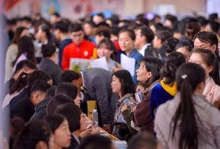 高校畢業(yè)生創(chuàng  )業(yè)補貼,高校畢業(yè)生就業(yè)創(chuàng  )業(yè),高校畢業(yè)生求職創(chuàng  )業(yè)補貼