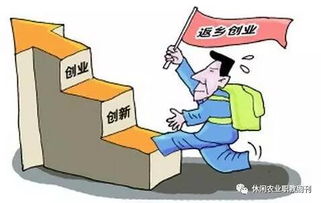 返鄉下鄉創(chuàng  )業(yè)創(chuàng  )新總結