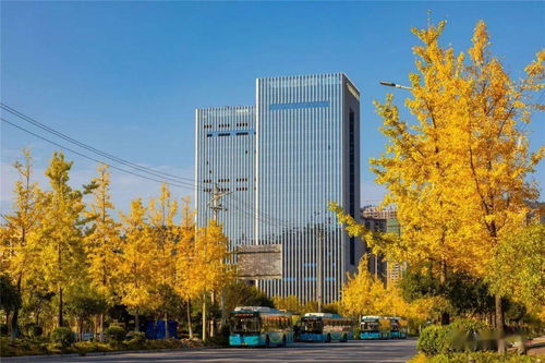 湖南省湘西經(jīng)濟(jì)開(kāi)發(fā)區(qū)創(chuàng)新創(chuàng)業(yè)園