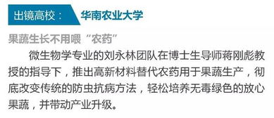 創(chuàng  )業(yè)項目,來(lái)源,指的是什么,創(chuàng  )新
