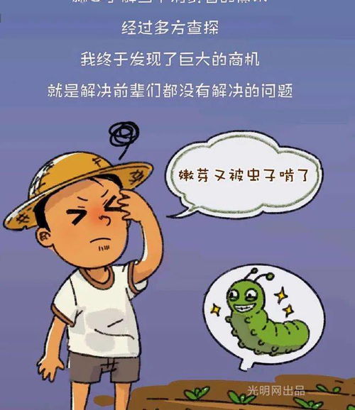 關(guān)于創(chuàng)新創(chuàng)業(yè)的漫畫(huà),青年人創(chuàng)新創(chuàng)業(yè)的重要性,青年人創(chuàng)新創(chuàng)業(yè)的例子
