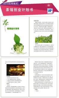 養生健康茶創(chuàng  )新創(chuàng  )業(yè)計劃書(shū)
