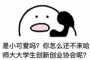 創(chuàng  )新創(chuàng  )業(yè)協(xié)會(huì )外聯(lián)部,創(chuàng  )新創(chuàng  )業(yè)外聯(lián)部簡(jiǎn)介,創(chuàng  )新創(chuàng  )業(yè)外聯(lián)部面試