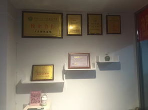 廈門(mén),創(chuàng  )新,協(xié)會(huì ),電話(huà)