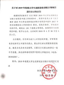 立項,創(chuàng  )新,文件,創(chuàng  )業(yè)
