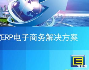電子商務(wù)創(chuàng)新創(chuàng)業(yè)項目方案