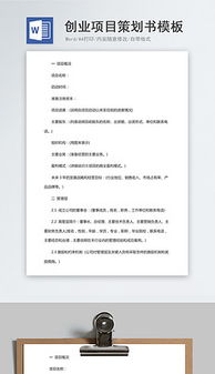 創(chuàng  )新創(chuàng  )業(yè)項目計劃書(shū)800字左右