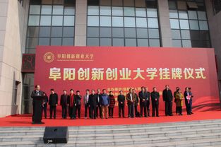 阜陽(yáng)創(chuàng  )新創(chuàng  )業(yè)大學(xué)有哪些培訓班