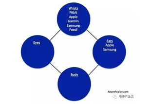 創(chuàng)業(yè)機(jī)會,評估,創(chuàng)新