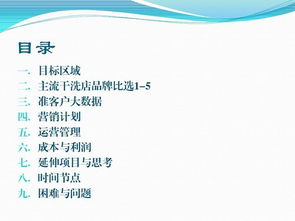 創(chuàng  )新創(chuàng  )業(yè)計劃書(shū)項目定位干洗店