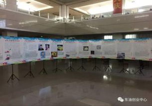 東北石油大學(xué)創(chuàng  )新創(chuàng  )業(yè)大賽2015,東北石油大學(xué)創(chuàng  )新創(chuàng  )業(yè)學(xué)院,東北石油大學(xué)互聯(lián)網(wǎng)+大學(xué)生創(chuàng  )新創(chuàng  )業(yè)大賽