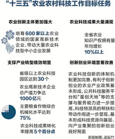 農業(yè)創(chuàng  )業(yè)創(chuàng  )新產(chǎn)業(yè)政策