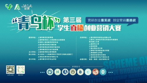 直播帶貨創(chuàng  )新創(chuàng  )業(yè)計劃書(shū)