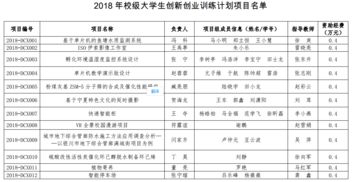 申報大學生創(chuàng)新創(chuàng)業(yè)訓練計劃項目,申報國家級大學生創(chuàng)新創(chuàng)業(yè)訓練計劃項目時,如何申報大學生創(chuàng)新創(chuàng)業(yè)訓練計劃