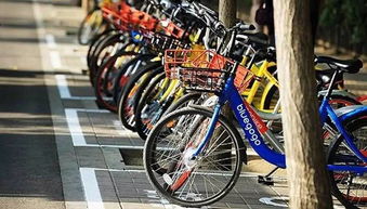 創(chuàng  )新創(chuàng  )業(yè)看待共享單車(chē)衰敗