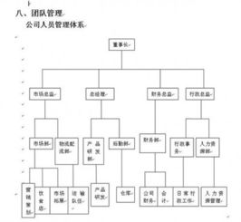 創(chuàng  )新創(chuàng  )業(yè)計劃書(shū)800字左右