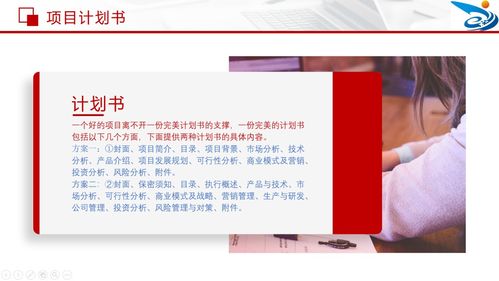 計劃書,附錄,創(chuàng)業(yè)項目,創(chuàng)新