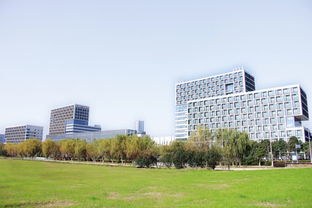 新疆創(chuàng  )新創(chuàng  )業(yè)園區