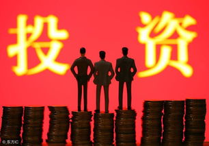 投資是創(chuàng  )新創(chuàng  )業(yè)項目孵化的一種形式