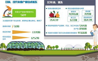 一畝三分地創(chuàng  )新創(chuàng  )業(yè)計劃書(shū)