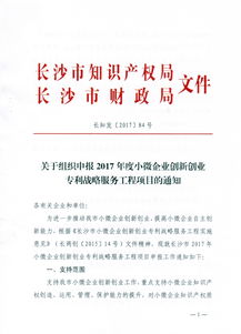 創(chuàng)新創(chuàng)業(yè)專(zhuān)利技術(shù)