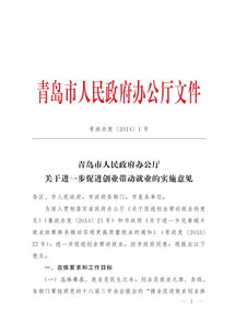 實(shí)施意見(jiàn),帶動(dòng),就業(yè),創(chuàng  )新