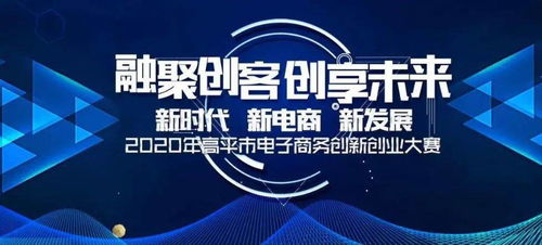 電子商務(wù)創(chuàng  )新創(chuàng  )業(yè)大賽優(yōu)秀電子