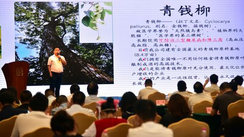 關(guān)于旅游方面的創(chuàng  )新創(chuàng  )業(yè),旅游創(chuàng  )新創(chuàng  )業(yè)方案,旅游創(chuàng  )新創(chuàng  )業(yè)項目名稱(chēng)
